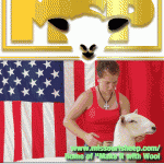 MissouriSheepProd