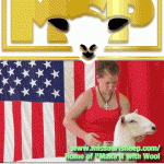 MissouriSheepProd